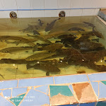 Photo n°15 de l'avis de stefania.r fait le 07/07/2021 à 08:59 sur le  Onda Blu à Syracuse