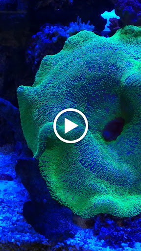 Pet Supply Store «Exotic Aquatic», reviews and photos, 275 E Oakland Park Blvd, Fort Lauderdale, FL 33334, USA