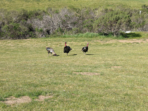 Golf Course «Dairy Creek Golf Course», reviews and photos, 2990 Dairy Creek Rd, San Luis Obispo, CA 93405, USA