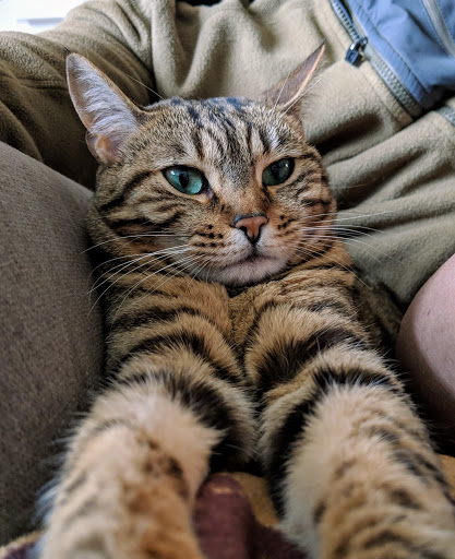 Pet Supply Store «Pawpular Companions Pet Supplies», reviews and photos, 21950 E Country Vista Dr, Liberty Lake, WA 99019, USA