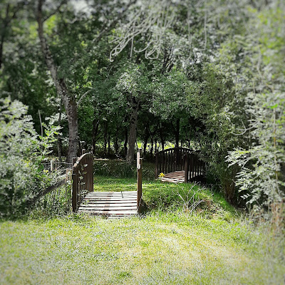 Aire de pique-nique à Sauzé-entre-Bois