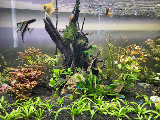 Pet Supply Store «Petco Animal Supplies», reviews and photos, 2520 E 3rd St, Bloomington, IN 47401, USA