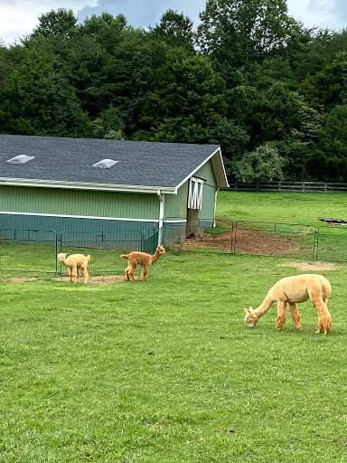Ever After Alpaca Farm, LLC