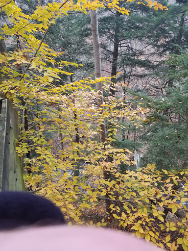Tourist Attraction «Brandywine Gorge Trail», reviews and photos, 8176 Brandywine Rd, Sagamore Hills, OH 44067, USA