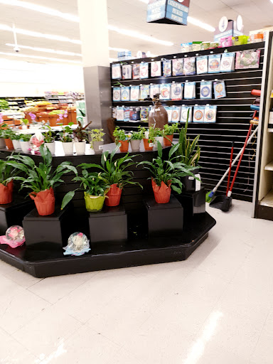 Supermarket «Winn-Dixie», reviews and photos, 1625 Cordova Rd #226, Fort Lauderdale, FL 33316, USA