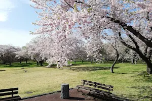 Morimachi Oniushi Park image