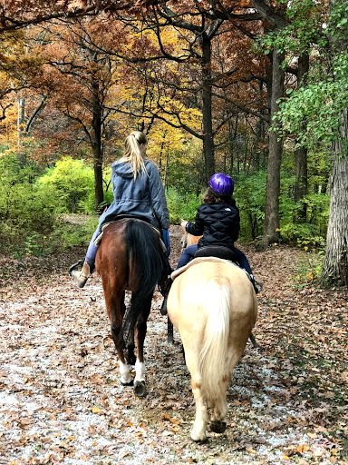 Sarah's Pony Rides