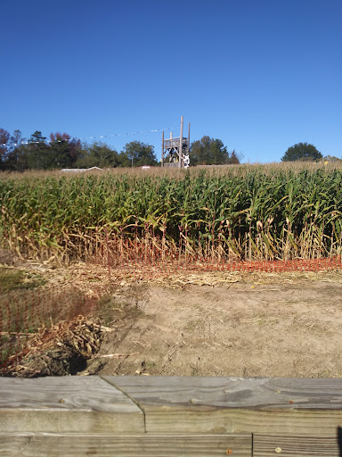 Farm «Buford Corn Maze.», reviews and photos, 4470 Bennett Rd, Buford, GA 30519, USA