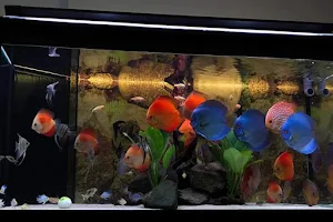 Shiva Aquarium image