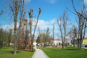 Park Gminny Milejów image