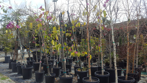 Gift Shop «Blue Hills Nursery & Gift Shop», reviews and photos, 16440 Whittier Blvd, Whittier, CA 90603, USA