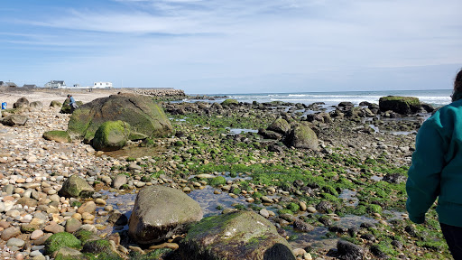 Club «Green Hill Beach Club», reviews and photos, 1064 Green Hill Beach Rd, South Kingstown, RI 02879, USA