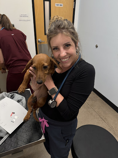 PetSmart Veterinary Services - Gilbert image
