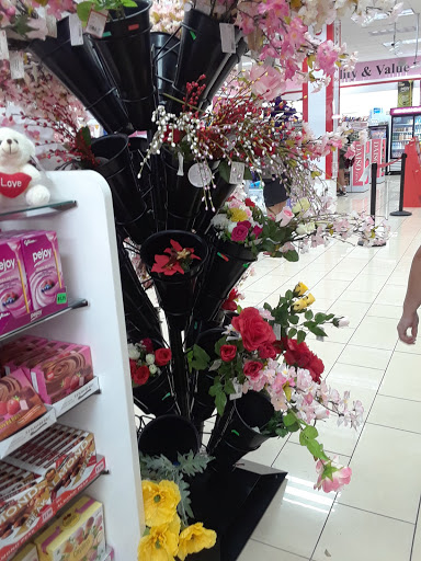 Variety Store «Daiso Japan», reviews and photos, 3842 Sepulveda Blvd, Torrance, CA 90505, USA