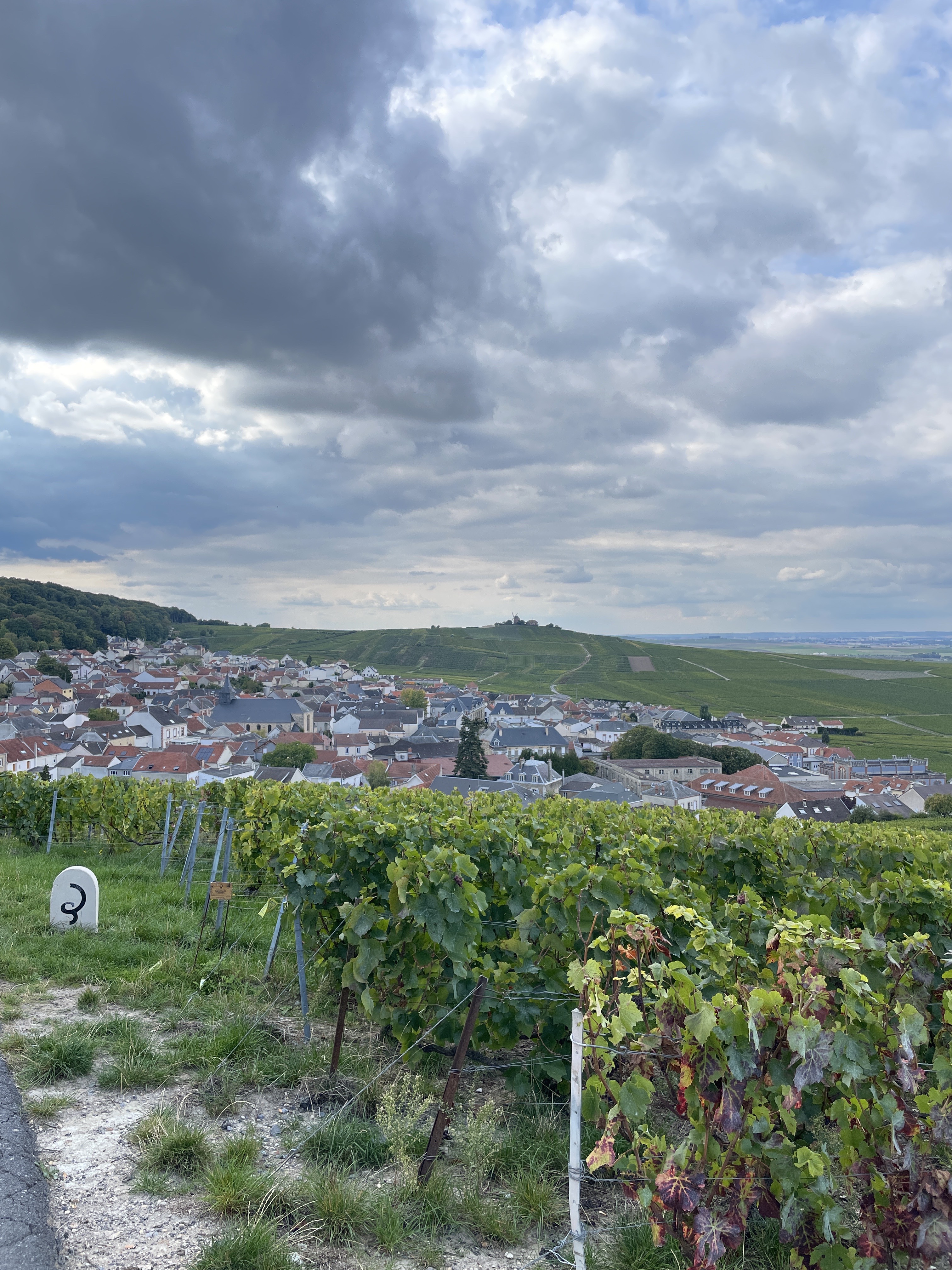 Photo n° 2 de l'avis de Sebastien.t fait le 09/10/2022 à 14:07