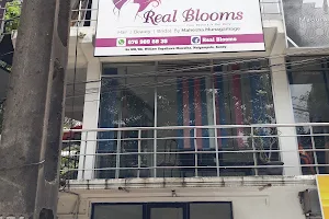 Real Blooms (Hair/Beauty/Bridal) image
