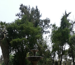 Graphic Arts Garden photo