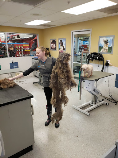 Pet Supply Store «Petco Animal Supplies», reviews and photos, 1791 Clarkson Rd, Chesterfield, MO 63017, USA