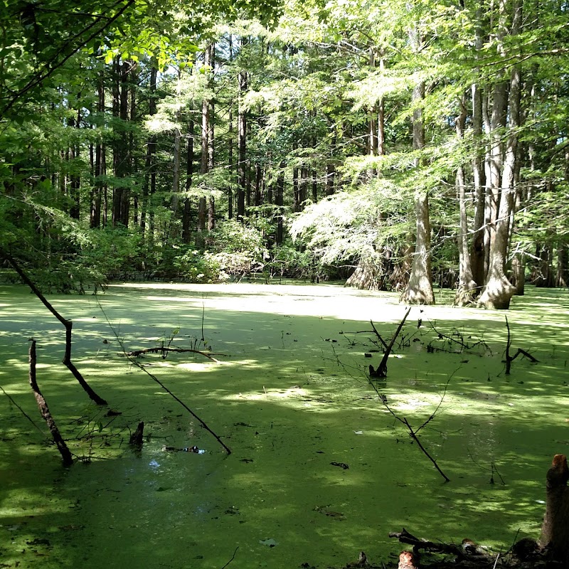Louisiana State Arboretum State Preservation Area