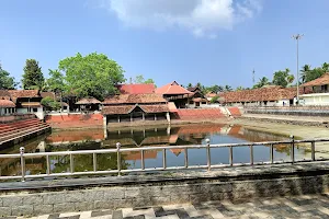 Sree Krishna Swamy Temple, Ambalapuzha image