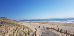 Photo de Pointe du Cap Ferret situé dans une zone naturelle