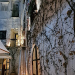 Photo n°7 de l'avis de adriano.r fait le 07/03/2024 à 22:30 sur le  Lumia Restaurant à Palermo