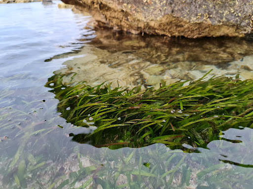 Top 20 cửa hàng akemi Huyện Lý Sơn Quảng Ngãi 2022