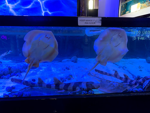 Pet Store «Pet World», reviews and photos, 891 Harriman Pl, San Bernardino, CA 92408, USA