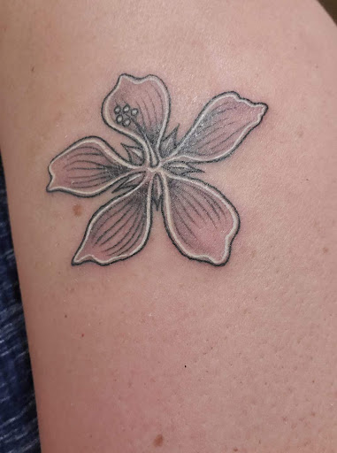 Tattoo Shop «Atomic Tattoo & Body Piercing», reviews and photos, 8401 Burnet Rd, Austin, TX 78757, USA