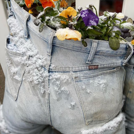 Florist «Flowers On The Vine», reviews and photos, 2035 E 18th Ave #9, Denver, CO 80206, USA