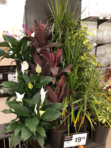 Grocery Store «ACME Markets», reviews and photos, 550 Myrtle Ave, Boonton, NJ 07005, USA