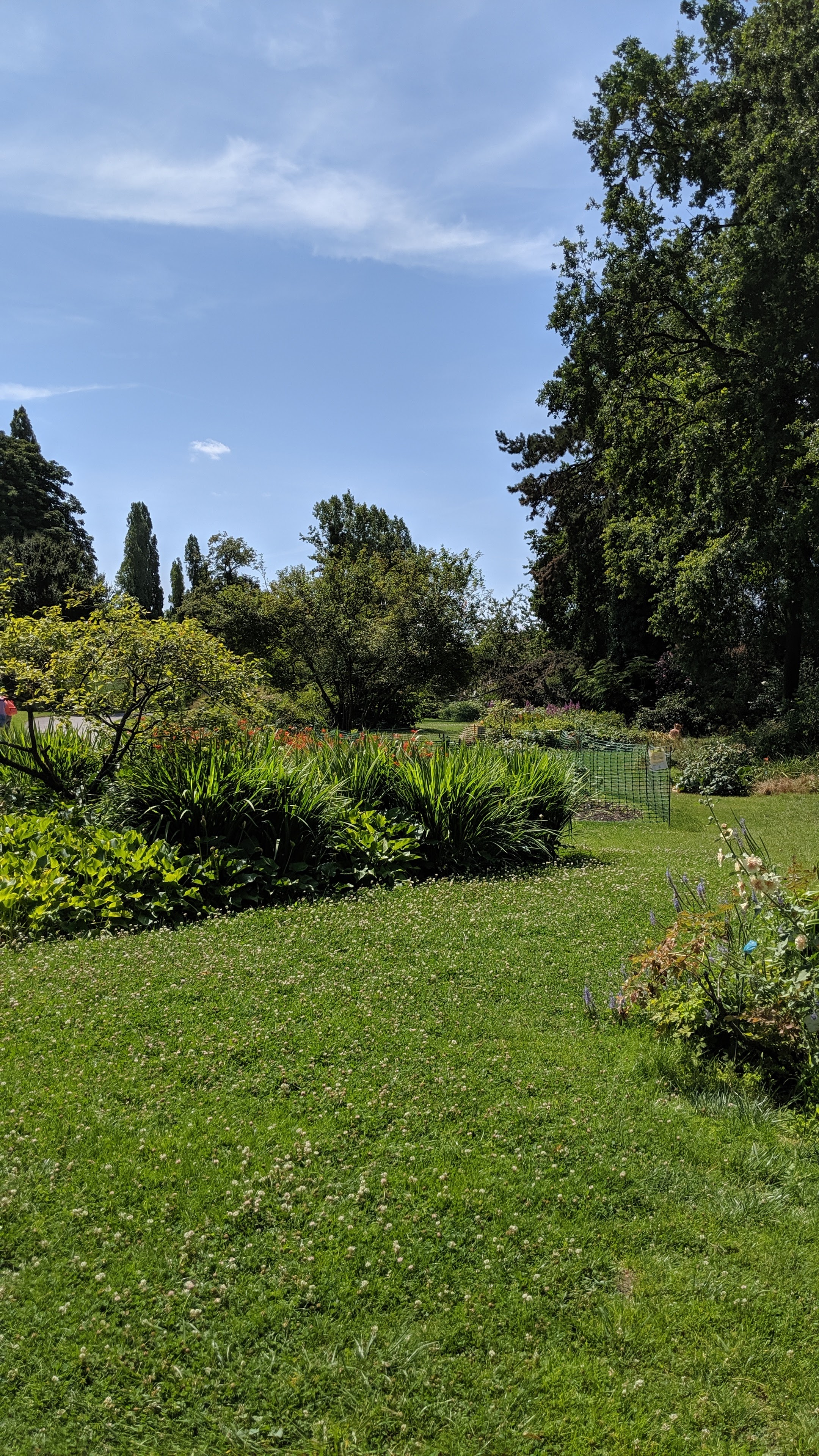 Photo n° 10 de l'avis de Jose.u fait le 28/07/2019 à 17:10