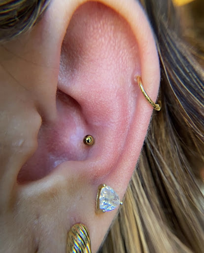 Explore female shoulder tattoo ideas, creative tattoo ideas in Ypsilanti, available at Michigan Avenue Tattoo & Piercing