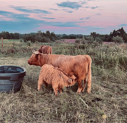 Ferme Éco'Land des Basques