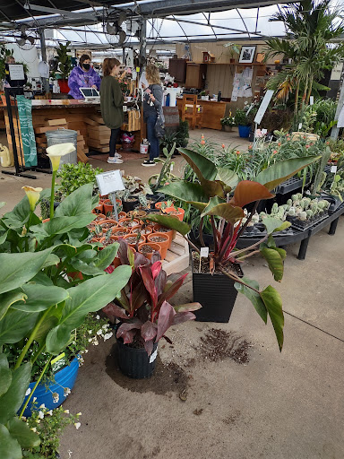 Plant Nursery «Blooming Acres», reviews and photos, 7561 State Rd, Wadsworth, OH 44281, USA