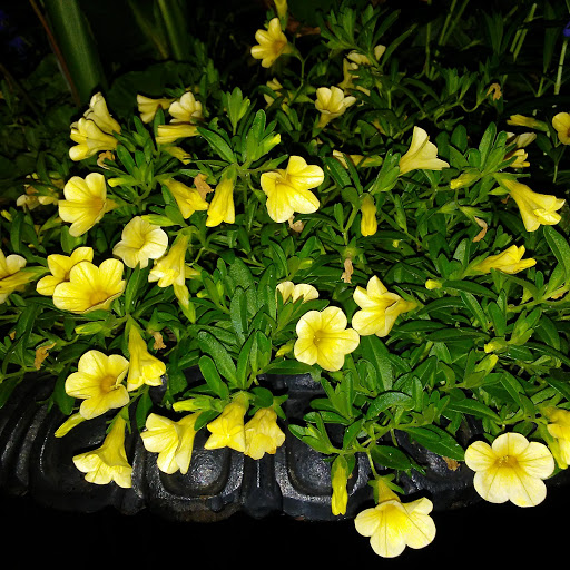 Monument «Washington Monument», reviews and photos, 699 Washington Pl, Baltimore, MD 21201, USA