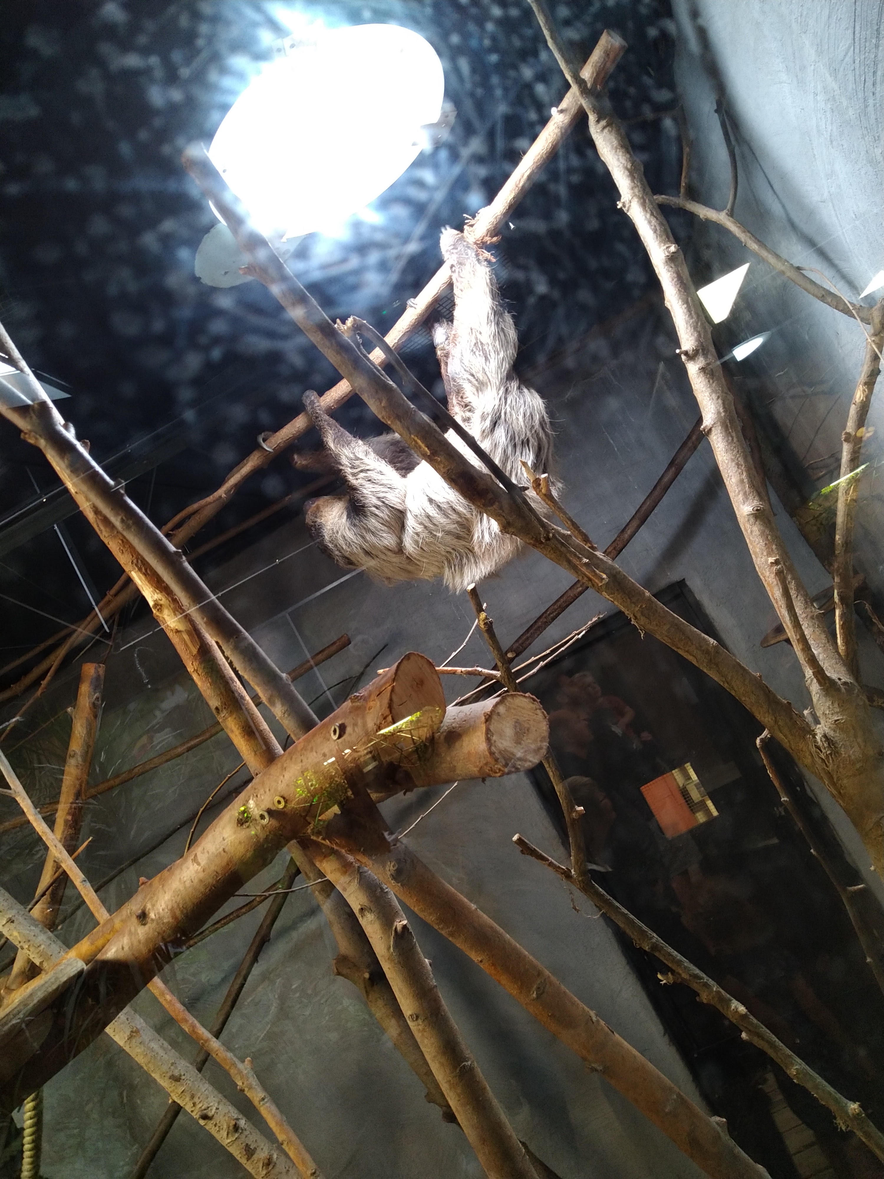 Photo n° 27 de l'avis de HardLoSeDa. fait le 15/08/2019 à 14:36