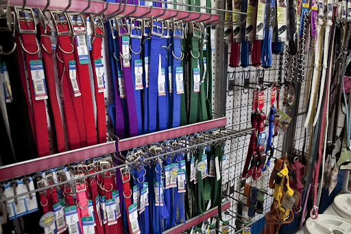 Pet Supply Store «Coast Pet Supplies», reviews and photos, 880 N Coast Hwy, Laguna Beach, CA 92651, USA