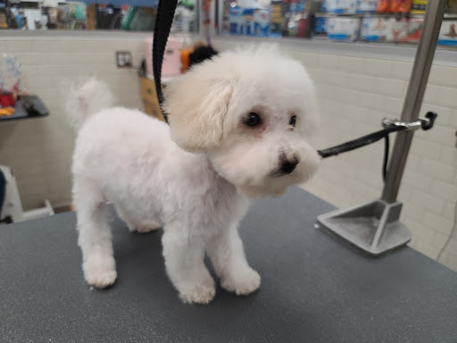 Pet Supply Store «Petco Animal Supplies», reviews and photos, 1930 SW Wanamaker Rd, Topeka, KS 66604, USA