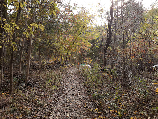 Nature Preserve «Spring Creek Nature Area», reviews and photos, N Plano Rd, Richardson, TX 75082, USA