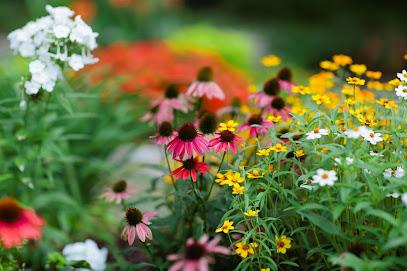 Birmingham Botanical Gardens