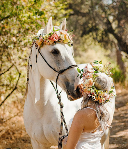 Florist «Dixon Florist & Gift Shop», reviews and photos, 150 E A St, Dixon, CA 95620, USA