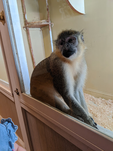 Animal Shelter «Animal Adventures Family Zoo & Rescue Center», reviews and photos, 336 Sugar Rd, Bolton, MA 01740, USA