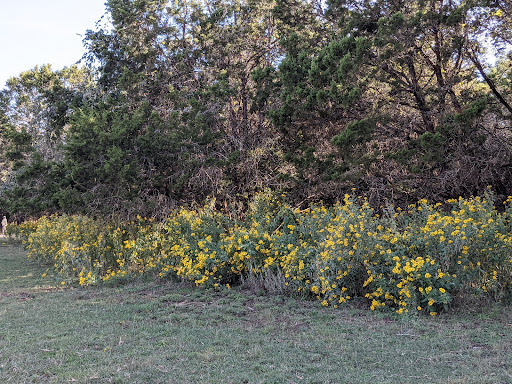 State Park «Lyndon B. Johnson State Park & Historic Site», reviews and photos, 199 Park Road 52, Stonewall, TX 78671, USA