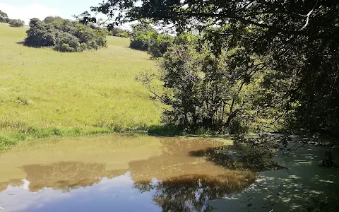 New Germany Nature Reserve image