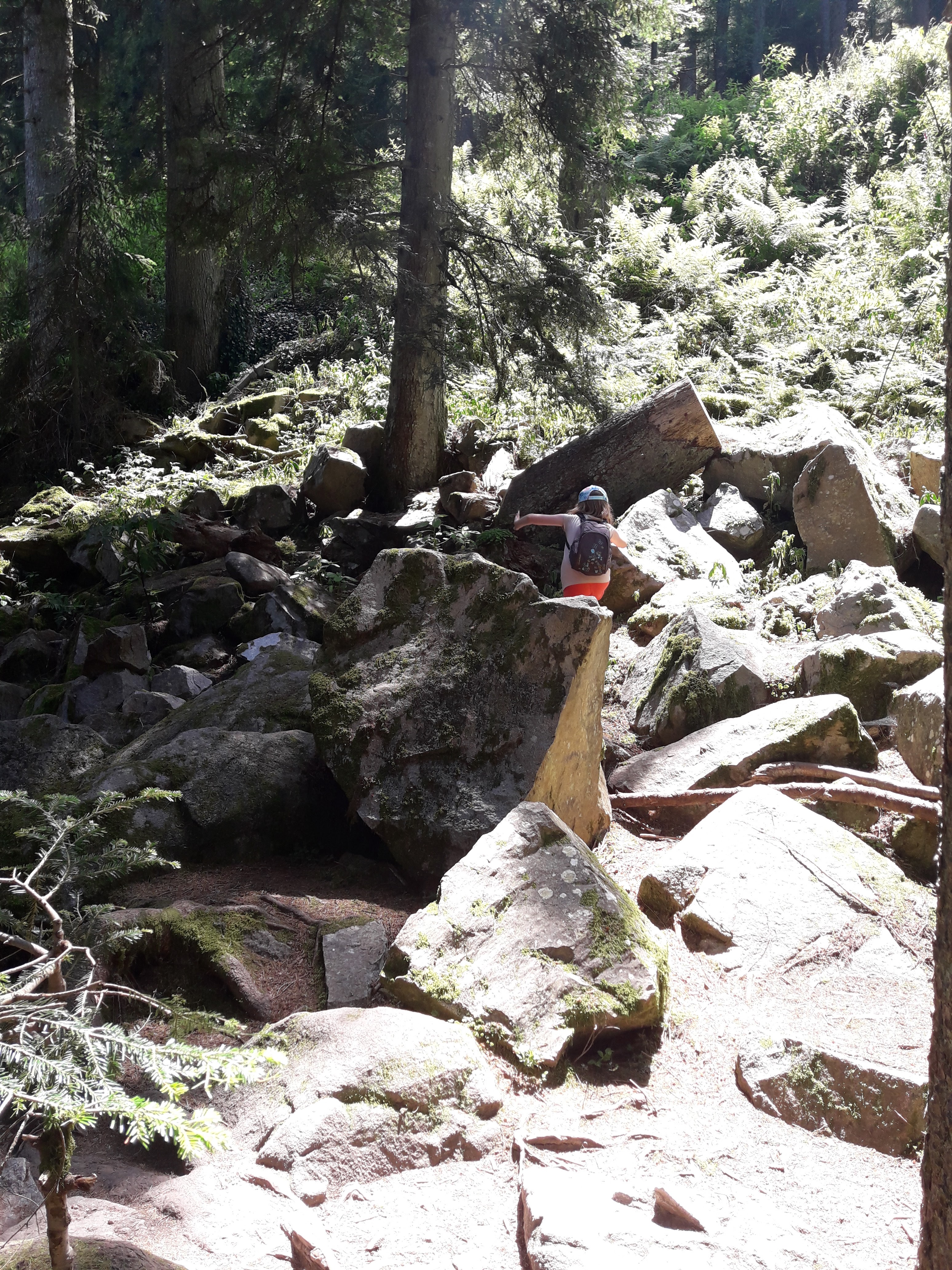 Photo n° 4 de l'avis de Neo.o fait le 08/07/2018 à 09:04