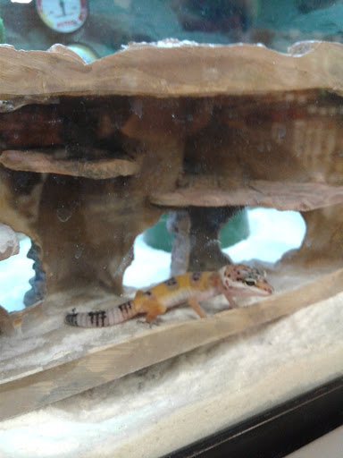 Pet Supply Store «Petco Animal Supplies», reviews and photos, 340 Leonardwood Dr, Frankfort, KY 40601, USA