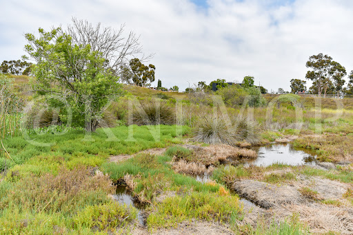 Nature Preserve «Newport Bay Conservancy», reviews and photos, 2301 University Dr, Newport Beach, CA 92660, USA