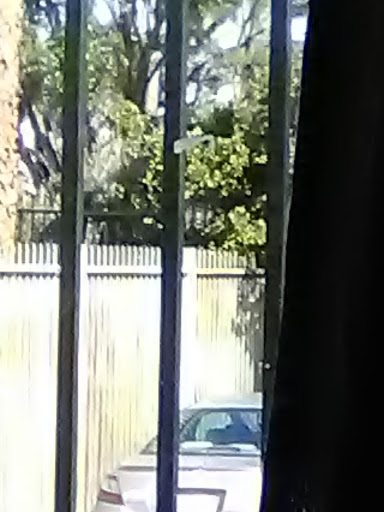 Cell Phone Store «AT&T Authorized Retailer», reviews and photos, 23639 Calabasas Rd, Calabasas, CA 91302, USA