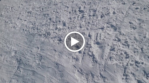 Park «Terramont Park», reviews and photos, 8500 Terramont Dr, The Woodlands, TX 77382, USA